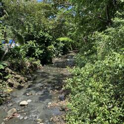 Stream on our way to lunch