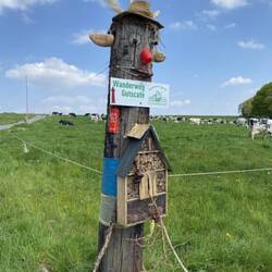 Der konnte mir sogar den Weg zeigen 😂