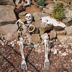 Ich glaube Der hat zu lange in der Sonne gelegen