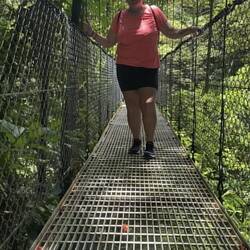 Hanging bridge