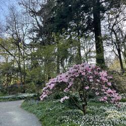 Finnerty Gardens