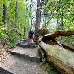 Steil hinauf zum Duivelsberg!