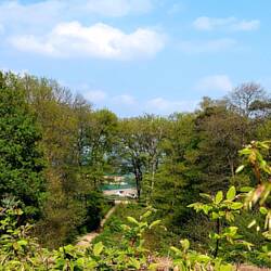 Der Blick von GANZ OBEN!