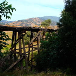 Ruined trestles on the rail trail