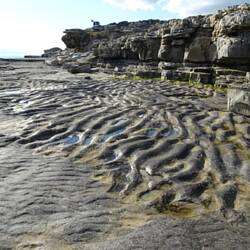 Versteinerte Rippelmarken