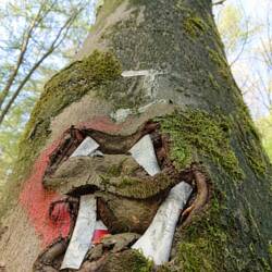 Die Natur holt sich über kurz oder lang alles wieder zurück.