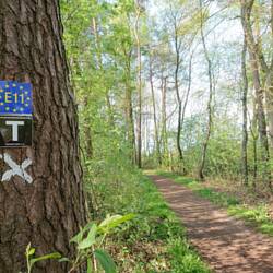 Wegweiser haben es mir irgendwie angetan 😁🙈