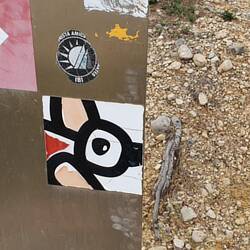 Das Logo aller spanischen Nationslparks