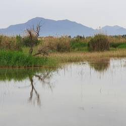 Die Lagune El Fondo
