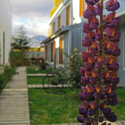 Euses tolle Dehei in Ushuaia