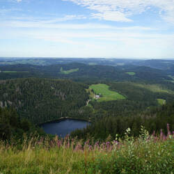 Aussicht auf den Feldsee