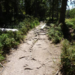 Dieses Jahr ist es extrem trocken