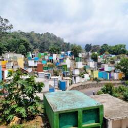 Friedhof mal anders ⚰️