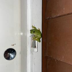 abendliche Begrüßung