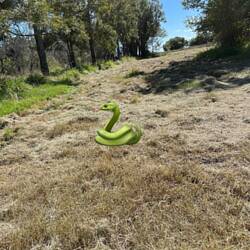 genau dort war die Schlange. Mindestens genau so groß..