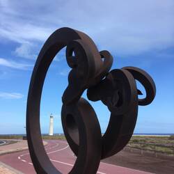 die Ziegen von Fuerteventura :)