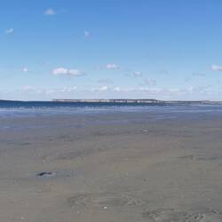 D Flamingos am Ebbe-Buffet beobachte und d Natur respektiere.