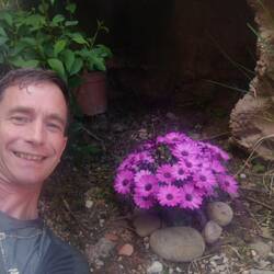 Farbe ins Leben und Gemüt