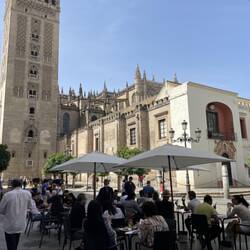 Santa Cruz - A view of the Cathedral of Seville