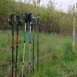 Die haben erstmal Pause