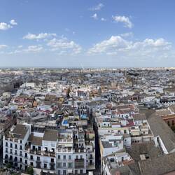 View from the Cathedral of Seville