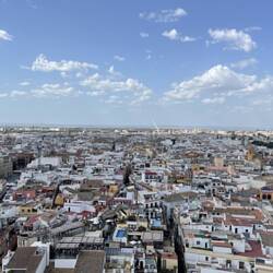 View from the Cathedral of Seville