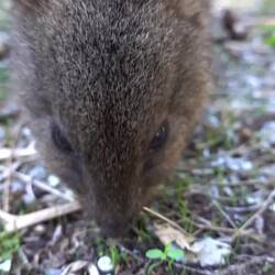 ...eifach wills so herzig send 🥰