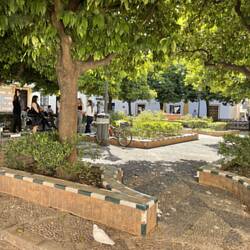 Walk around Santa Cruz