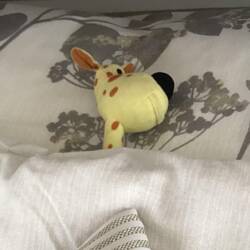 Gerald giraffe slept through all the drama!