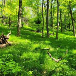 Einfach nur hammer dieses grün