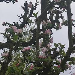 Zartrosa 🏳️‍🌈 🤭🤭🤭