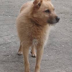 Noch ne Begegnung heute 🤪😍