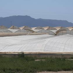 Da kommt unser Gemüse her