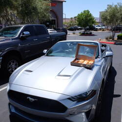 Le duo infernal : mustang & donuts