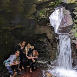 nimfy tym razem wszystkie cztery