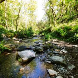 droga płaska wzdłuż uroczego strumyka