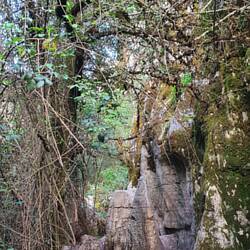 Geheimnisvolle Torbögen