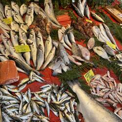 The neighborhood fish monger
