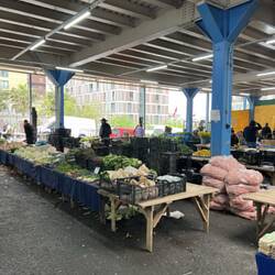 Organic farmers market