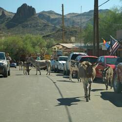Oatman