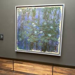 Monet's water lillies