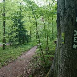 An der Heisenküche trennen sich die Wege erstmal wieder