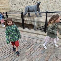 Éowyn making friends. Her new friend was very impressed to meet an American