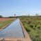 Water trough