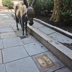 The Donkey and the Elephant