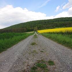 Und wieder den Berg hinauf