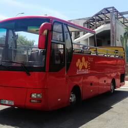 Unser Bus