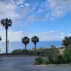 Ab jetzt alles Tropea