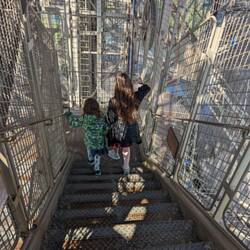 Big sis keeping little sis safe on the way down