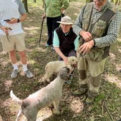 Viola,Champion Truffle Dog wirh her Puppy Zora